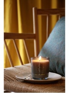 "Max Benjamin" aromatinė žvakė - Irish Leather & Oud