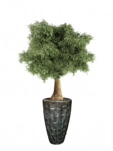 Vase Cascara green lauko vazonas XXL | D52 H95 cm